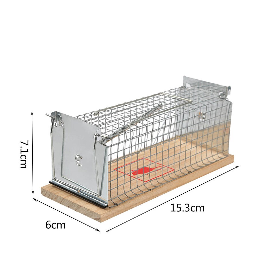 Cage attrape souris vivante Piège sans cruauté Pièges à Souris
